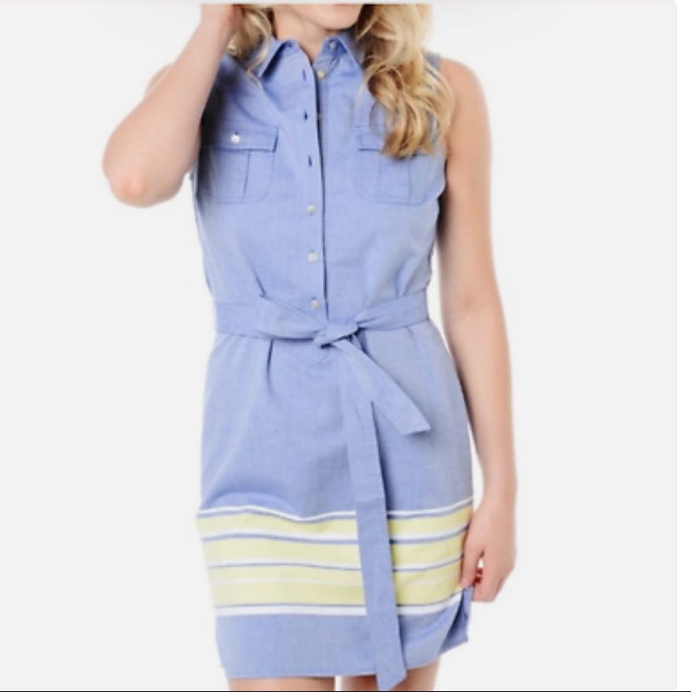 VV stripe shirt dress